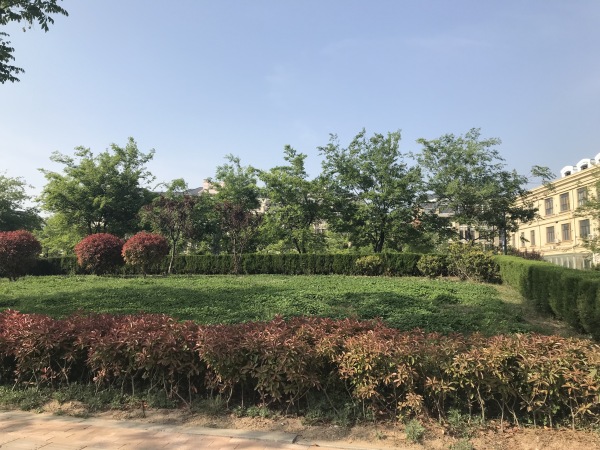 奥德海棠_实景图_5