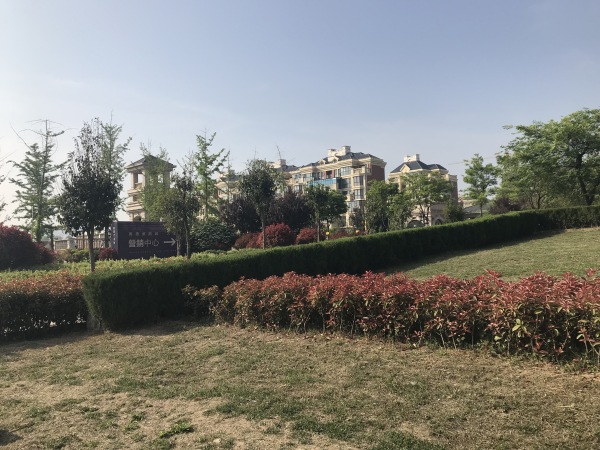 奥德海棠_实景图_6