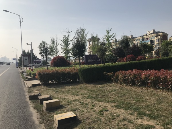 奥德海棠_实景图_8