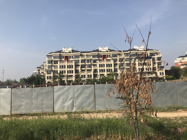 奥德海棠_实景图_10