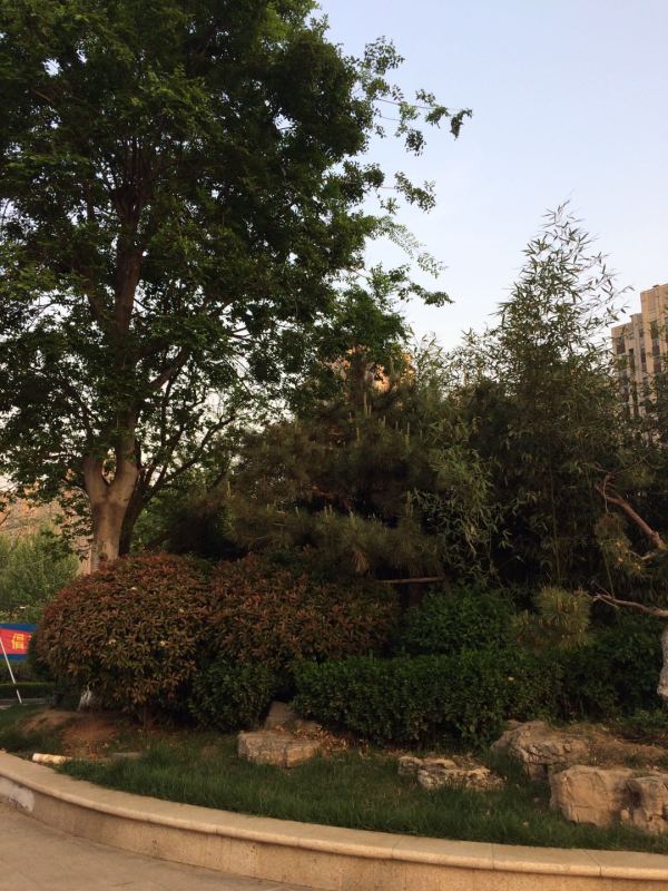 慧谷六期·欢乐颂_实景图_13