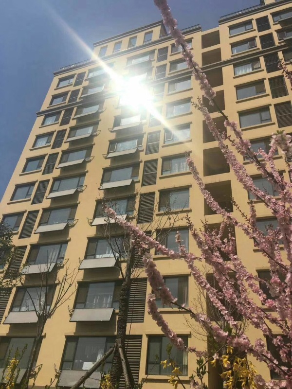 怡海国际新城_实景图_1