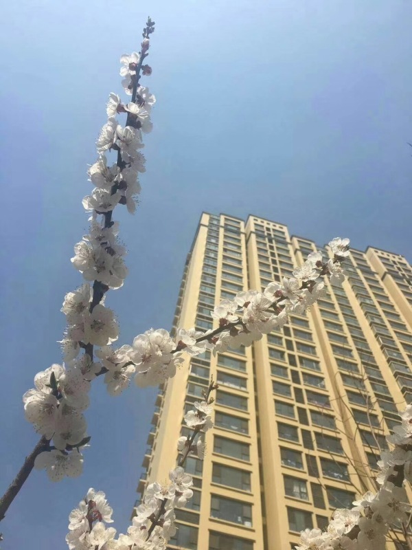 怡海国际新城_实景图_2