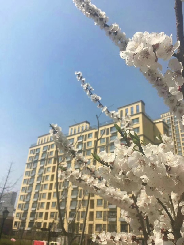 怡海国际新城_实景图_5