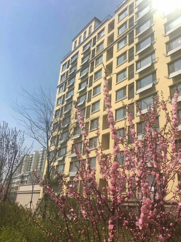 怡海国际新城_实景图_7