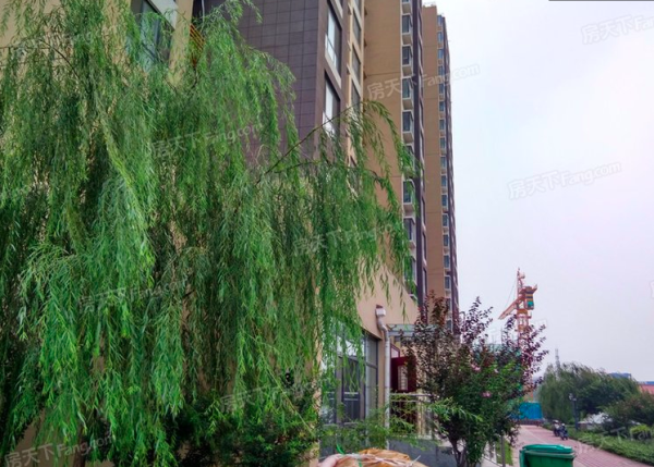 淄博花半里实景图