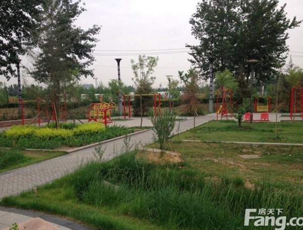 淄博花半里实景图