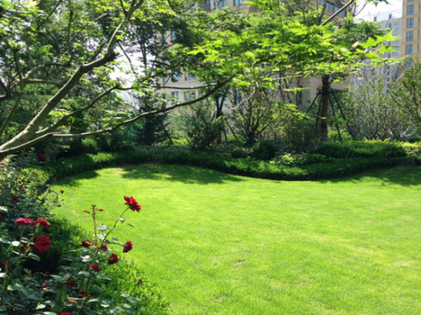 山东高速绿城·蘭園_实景图_1