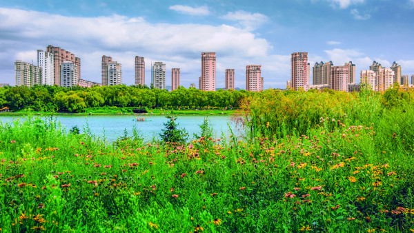 金域明珠实景图