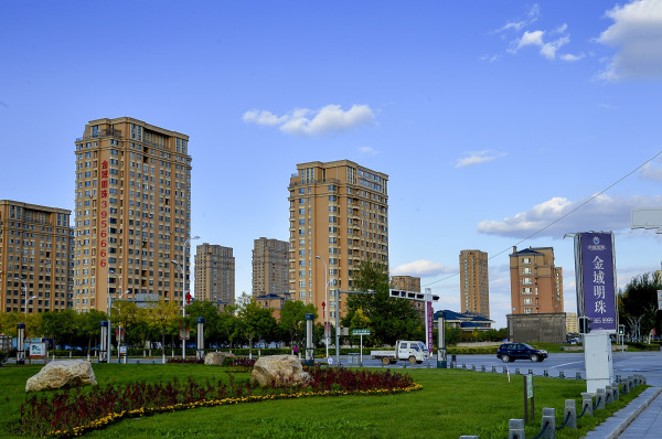 金域明珠实景图