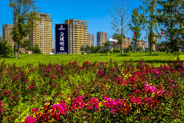 金域明珠实景图