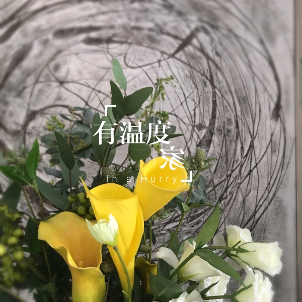 淮南金地天悦_样板间_7
