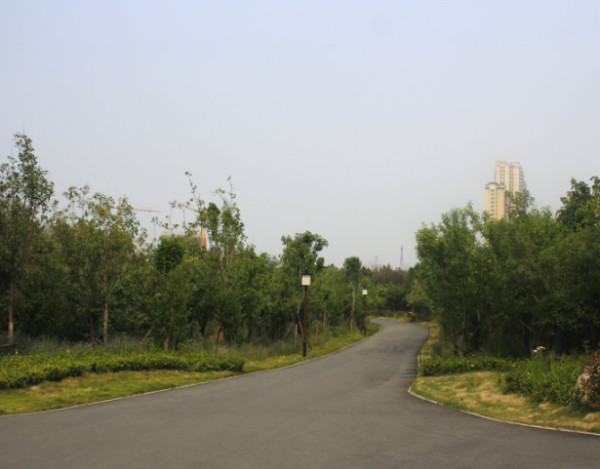龙泉壹号·首府_小区配套_4