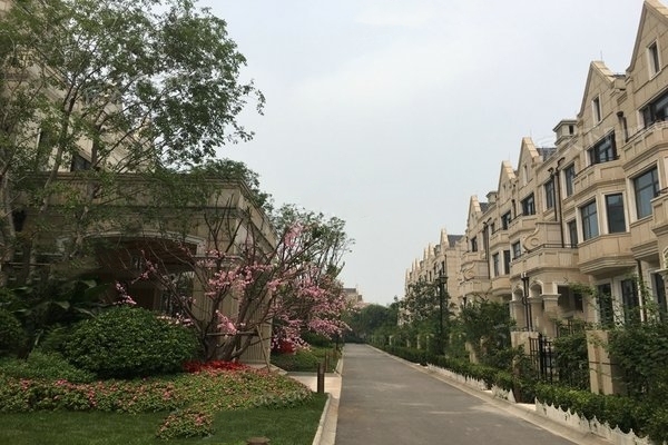 正承公园_实景图_4