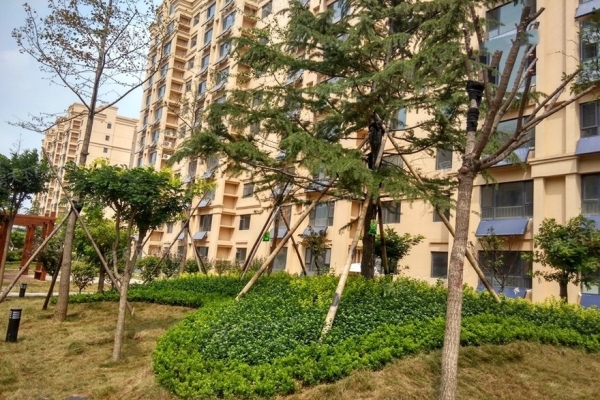 淄博嘉和骏景_实景图_2