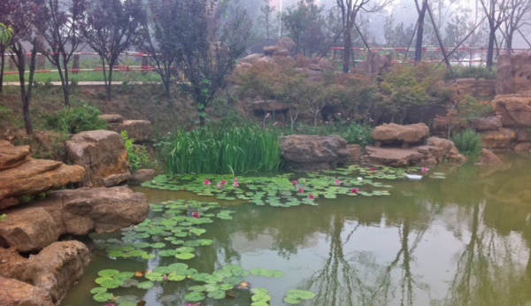 锦水丽景_实景图_2