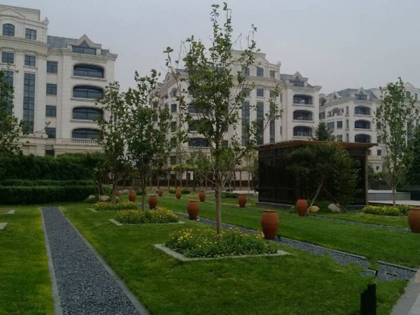 顺景石上清泉_实景图_1