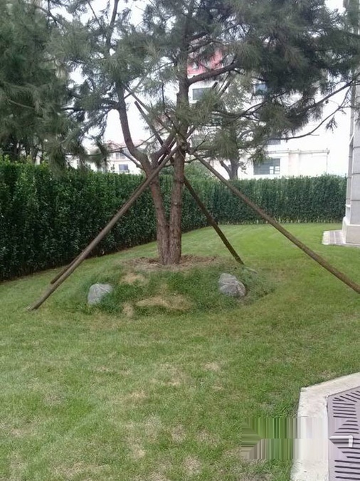 顺景石上清泉_实景图_3