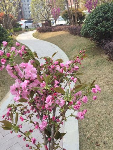 御山河_小区配套_2