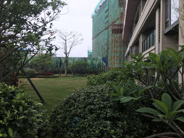 梅州保利江南和府_项目现场_3