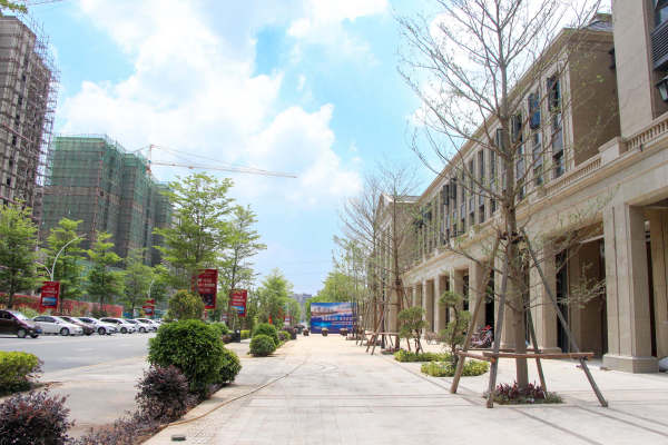 汕头五矿绿城御园_实景图_7