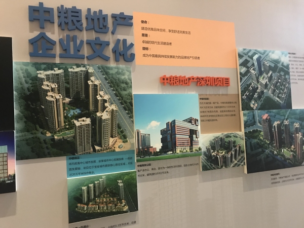 深圳中粮云景国际_项目现场_2