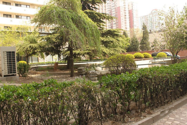 龙头国际_实景图_1