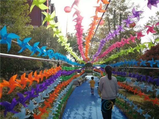 伊丽莎白花漾_项目现场_2