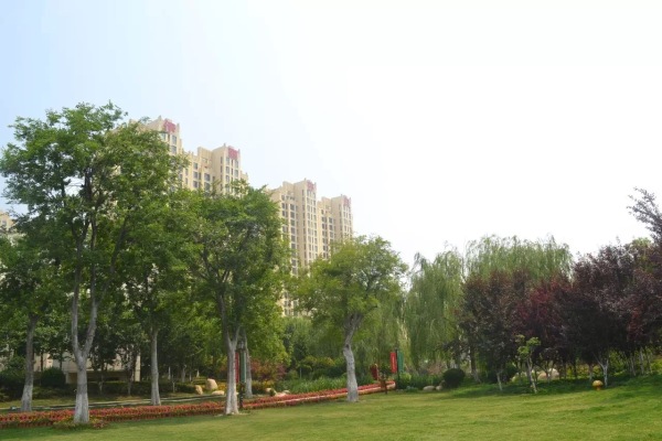 伊丽莎白东岸_实景图_10