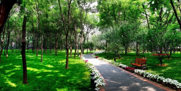 合生·霄云路8号_实景图_1
