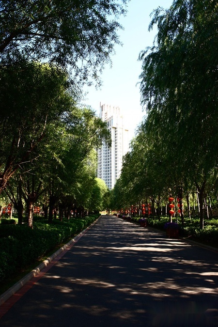 合生·霄云路8号_项目现场_2