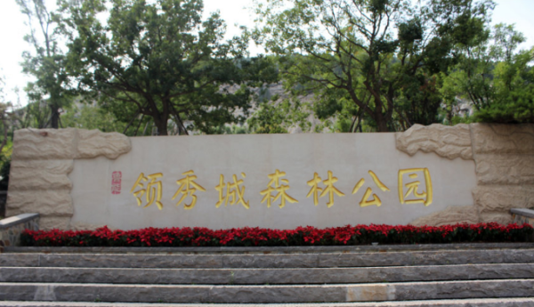 鲁能国际中心_小区配套_4