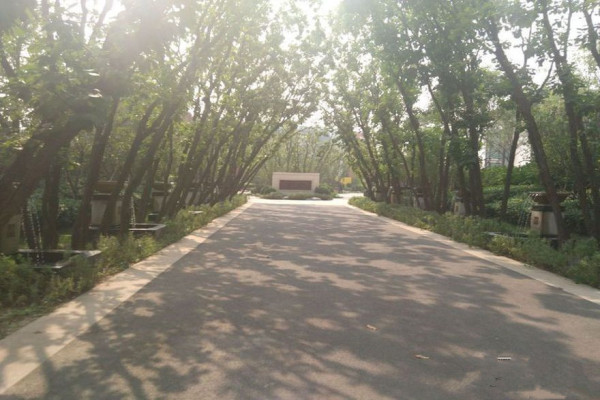 九章别墅_实景图_5