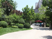 电建·金地华宸_实景图_5