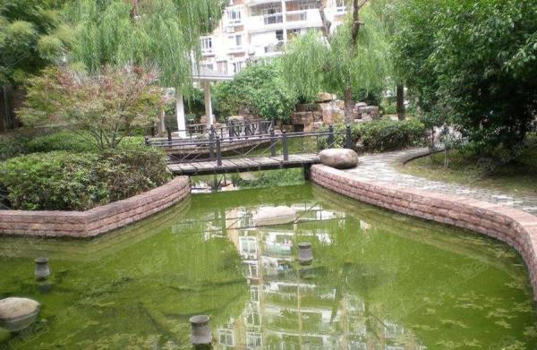 江南山水_实景图_1