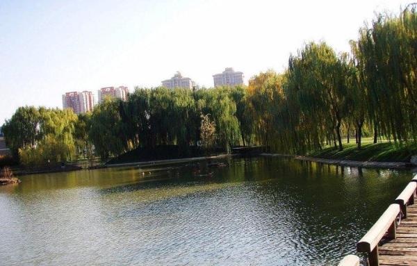 紫玉山庄_实景图_2
