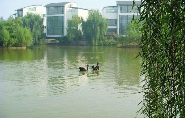 紫玉山庄_实景图_4
