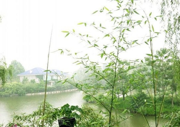 紫玉山庄_实景图_5