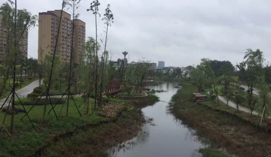 明光碧桂园·嘉山公馆_效果图_4