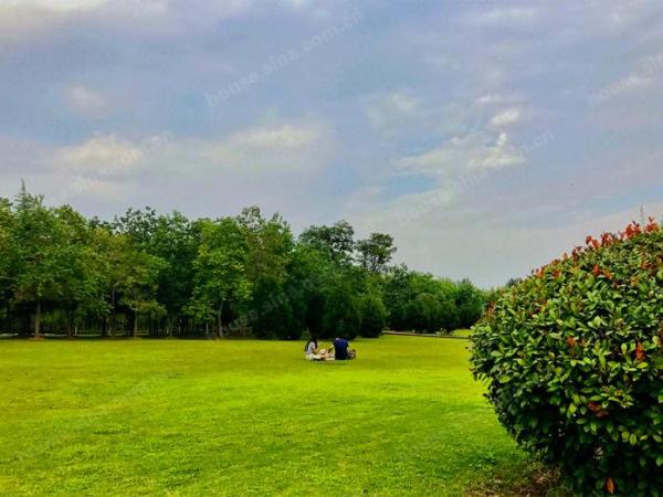 徐州_湖悦天境_实景图_4