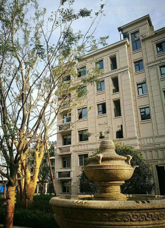 环球掌舵_实景图_1