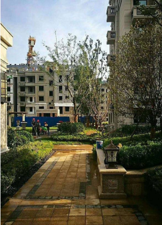 环球掌舵_实景图_3