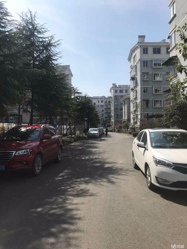 康盛花园_实景图_7