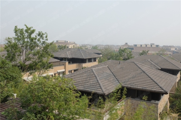 万科良渚文化村郡西别墅_实景图_1