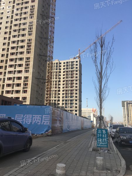 保利金香槟_实景图_1