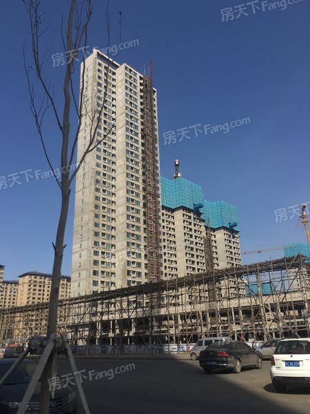 保利金香槟_实景图_2