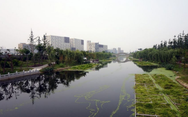 绿谷杭州东部创新中心实景图