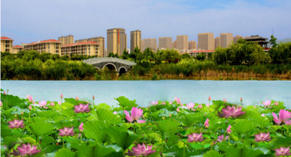 淮北桓谭明珠效果图