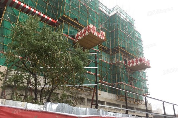 龙光·阳光悦府_实景图_1