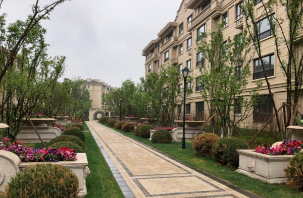 绿地中央墅_实景图_2